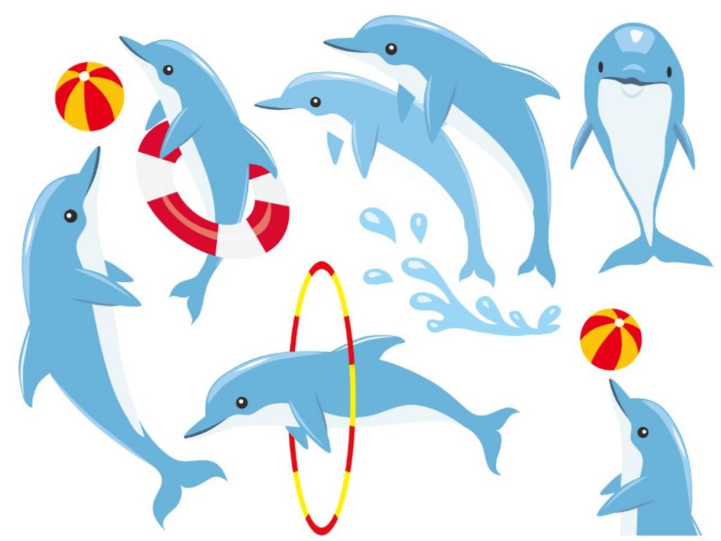 Playful cartoon dolphins performing tricks with beach balls, lifebuoys, and hoops on white background.