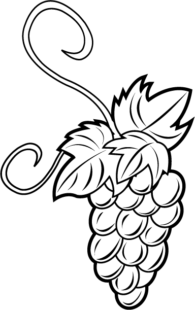 Grape Cluster Line Art - Free Coloring Page & Illustration
