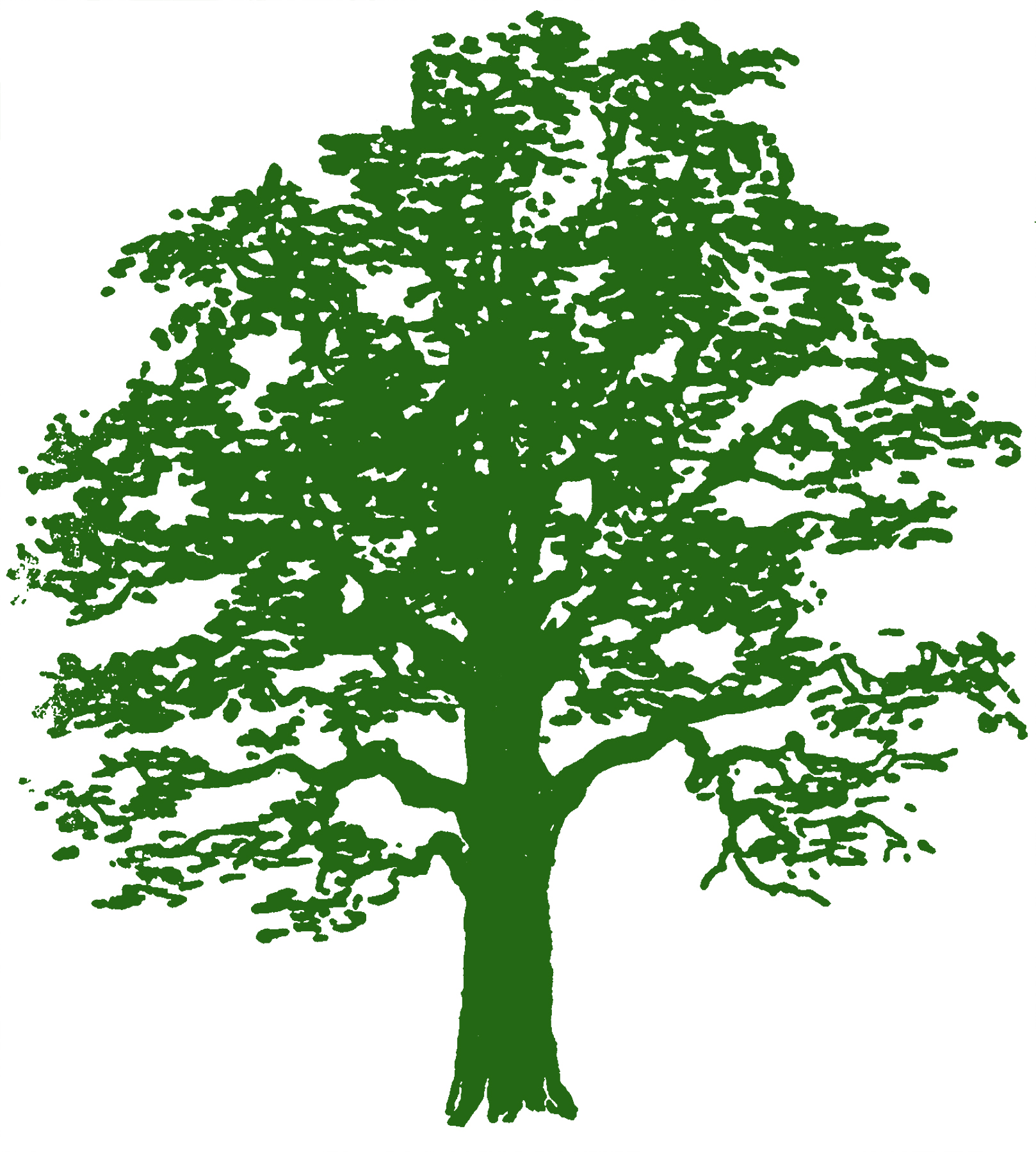 Stylized green silhouette of a mature deciduous tree with full canopy and textured foliage.