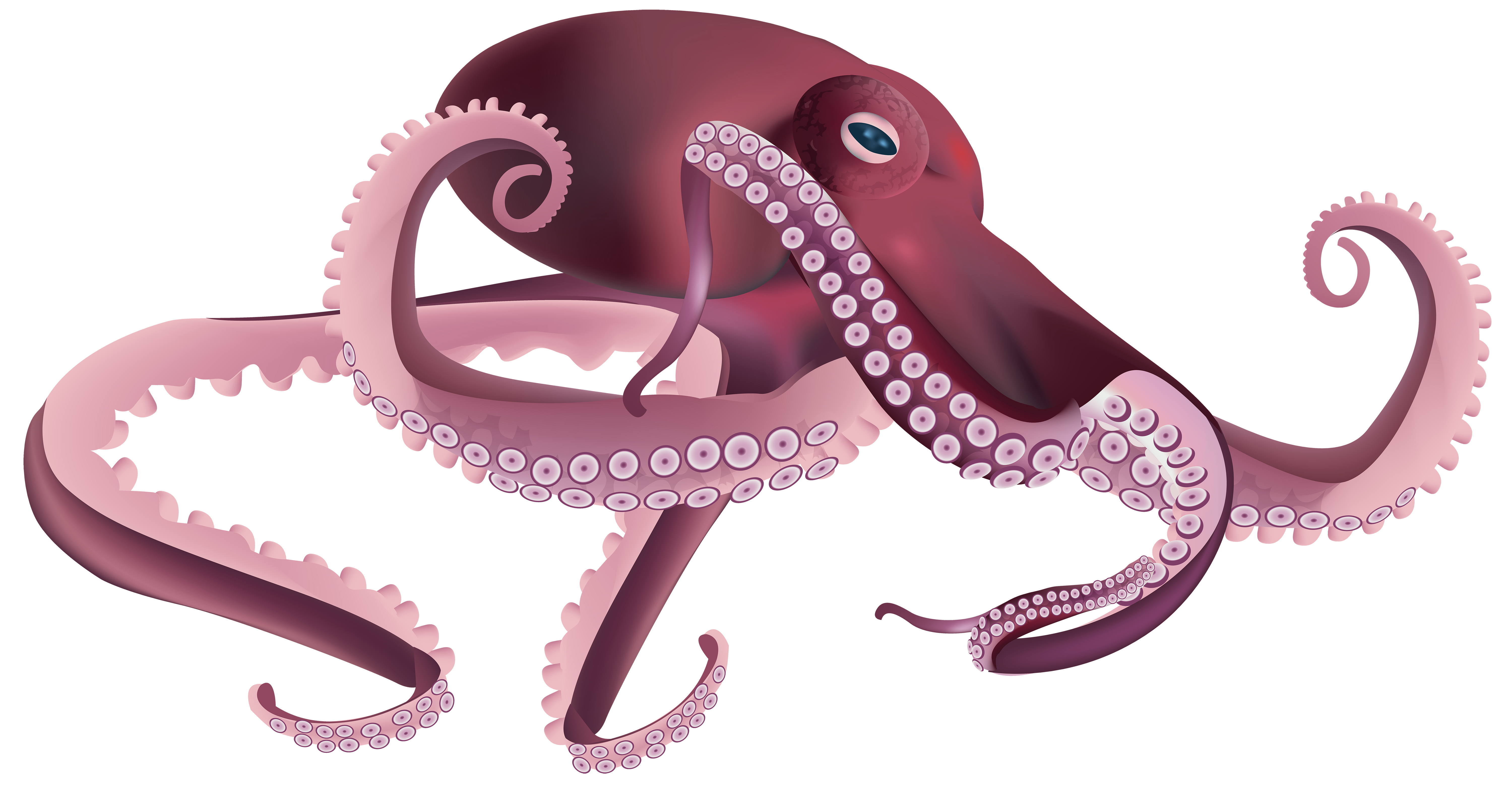 Surreal Octopus Art - Architectural Marine Illustration