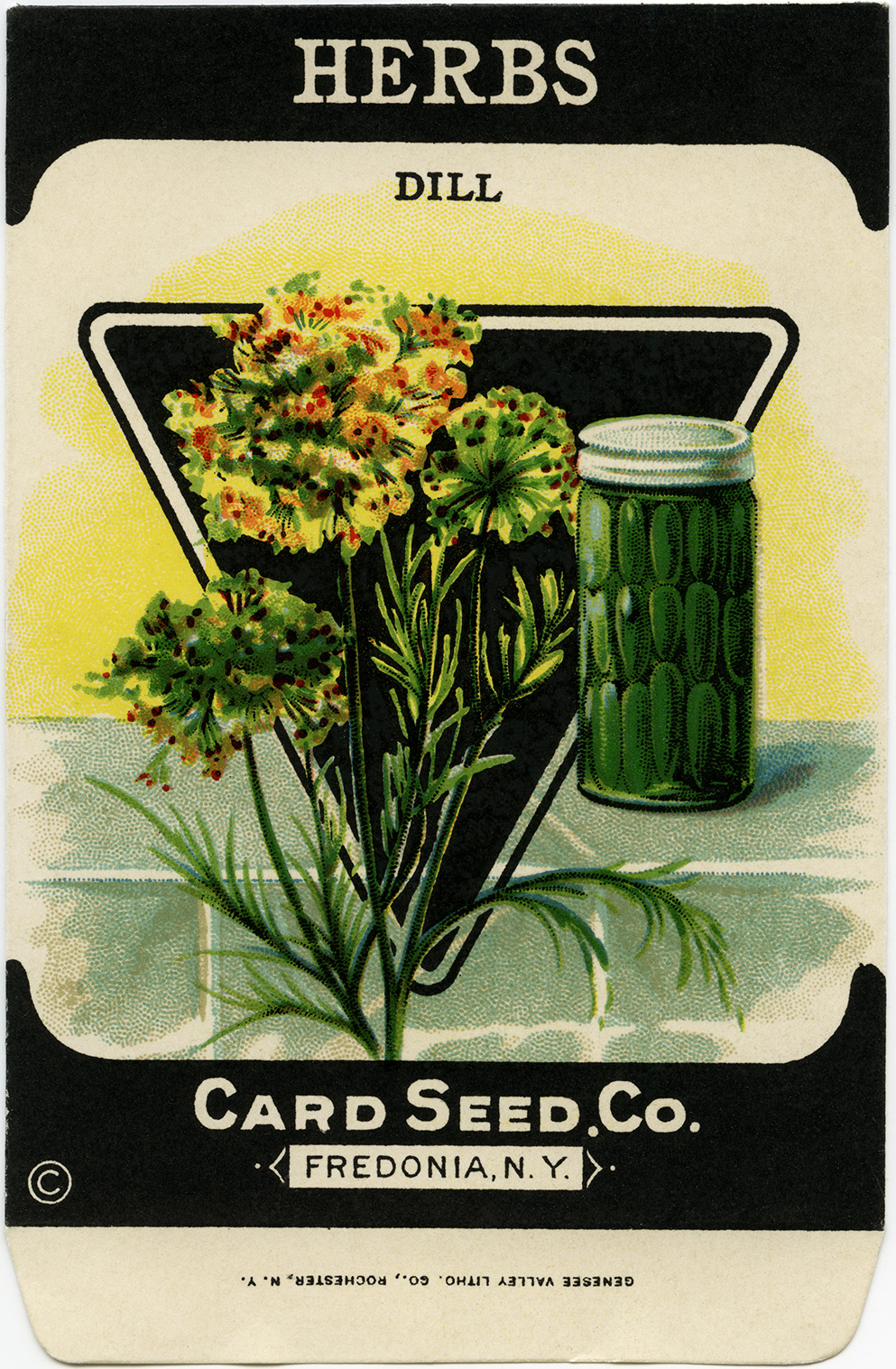 Vintage Herb Cliparts png images | PNGWing - Clip Art Library