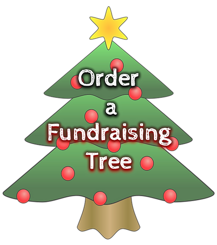 Green Christmas tree with red ornaments and yellow star, text reads "Order a Fundraising Tree"