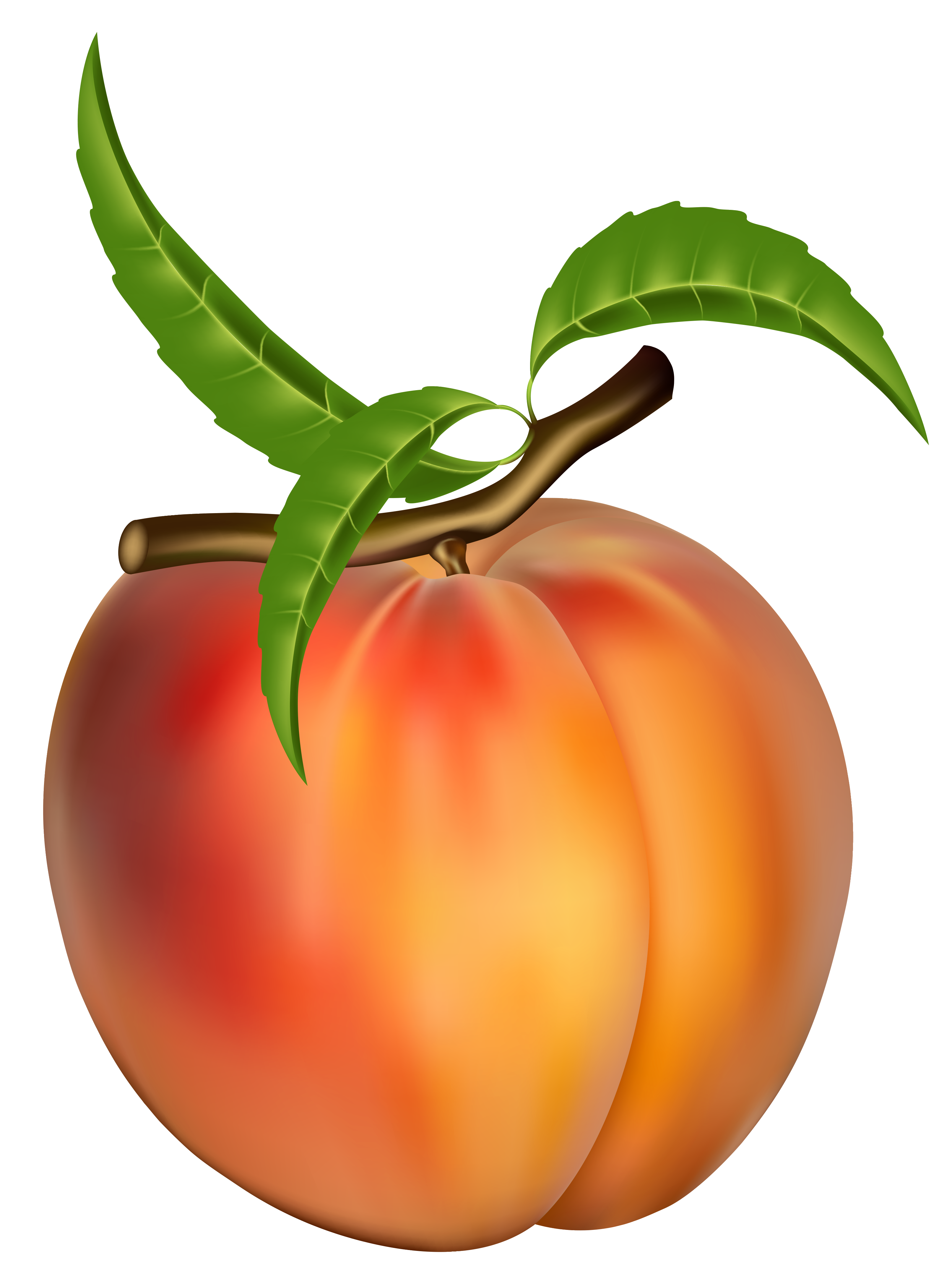 Fresh Ripe Peach with Leaves - High-Quality Fruit Image