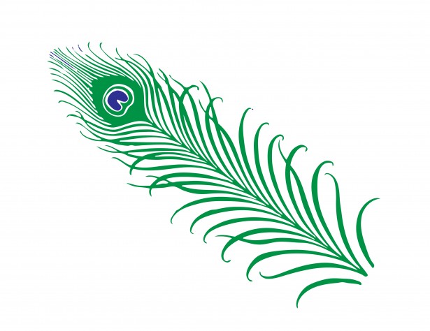 Stylized green peacock feather with blue eye detail on white background