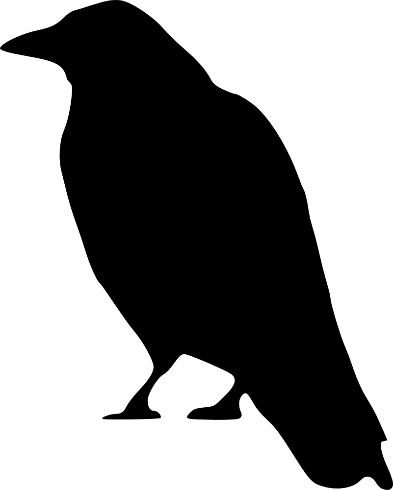 Silhouette of a standing crow in profile, black against white background.
