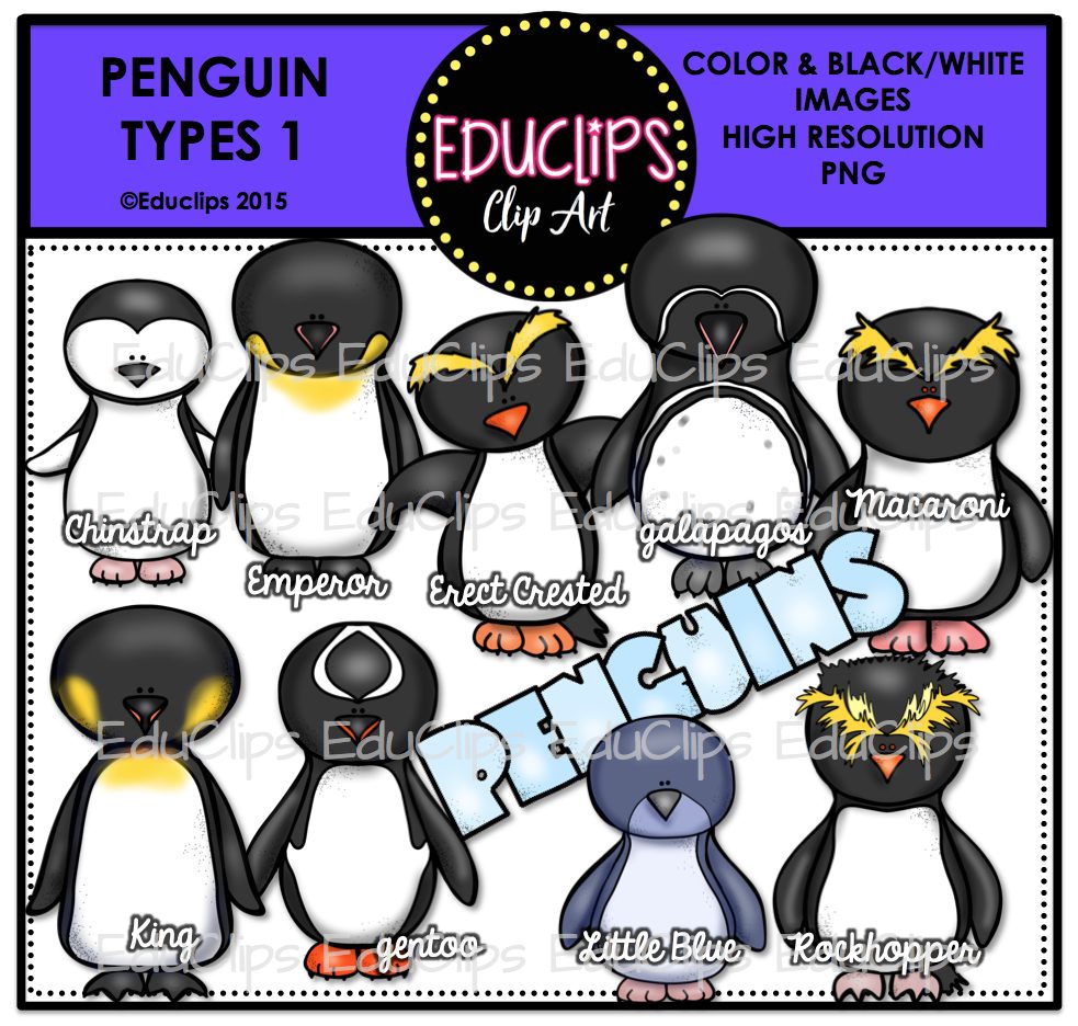 Educational clip art showing 9 labeled penguin species including Emperor, King, and Rockhopper in color and black/white high-res PNG format.