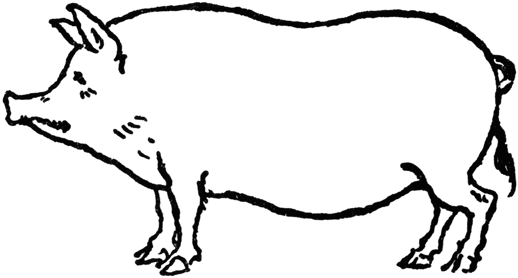 Pig Illustration - Free Line Art Drawing for Educational and Design Use