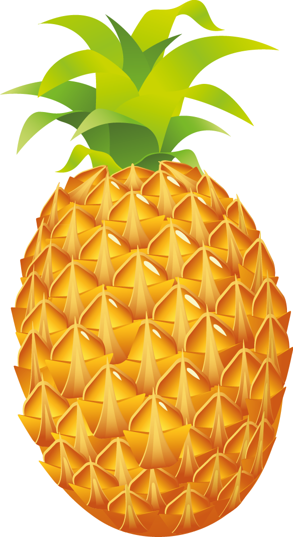 Vibrant illustrated pineapple with golden-orange textured skin and lush green crown leaves.