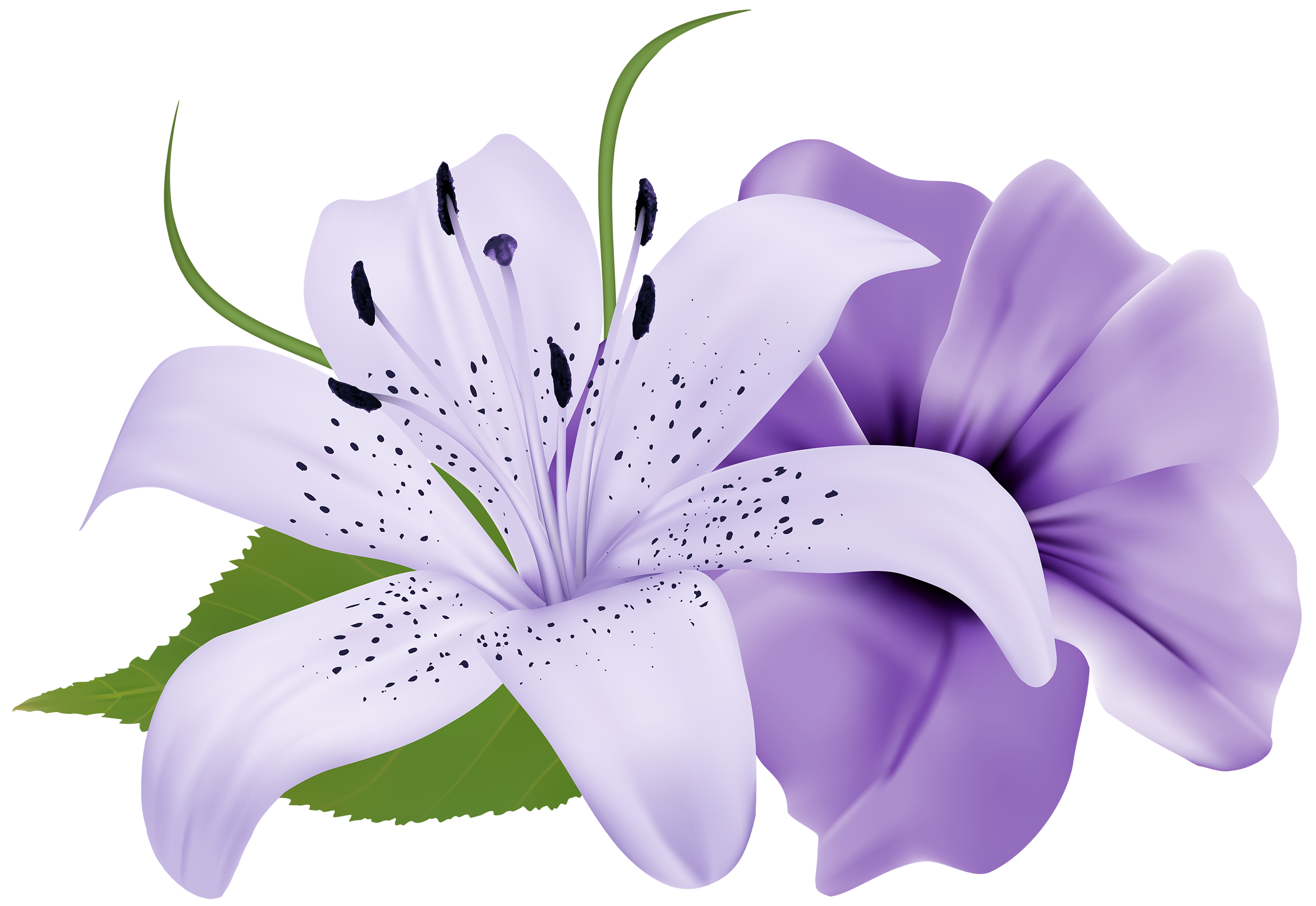 purple flower
