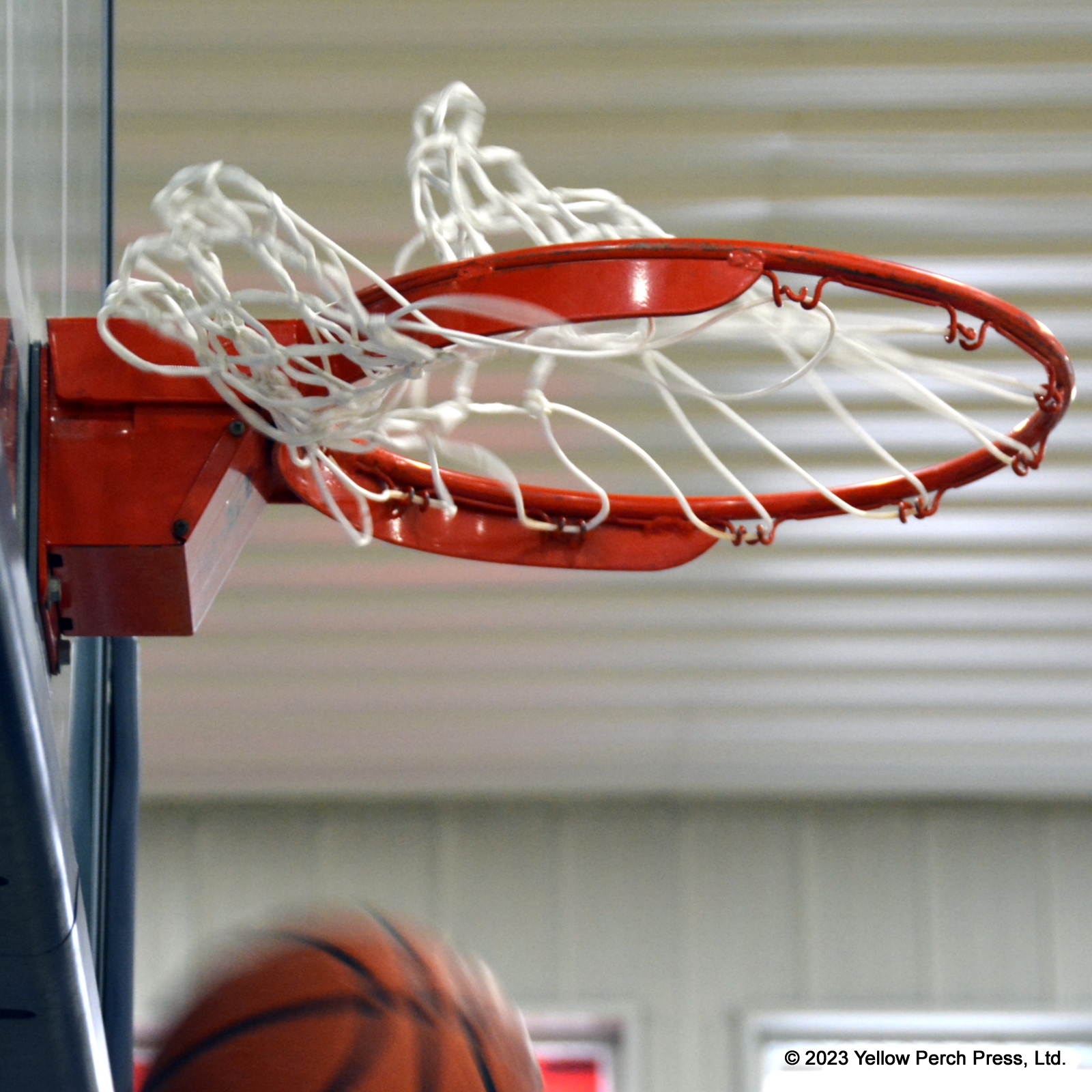 crusaders basketballs