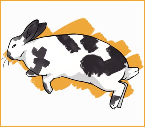 2,000+ Veterinarian Rabbit Illustrations, Royalty-Free Vector 