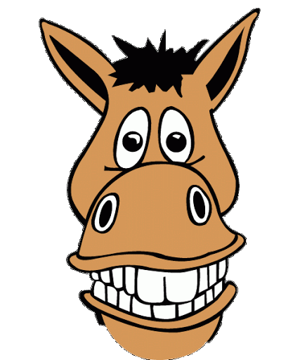 Cartoon donkey head with big eyes, wide grin, and spiky black mane on white background.