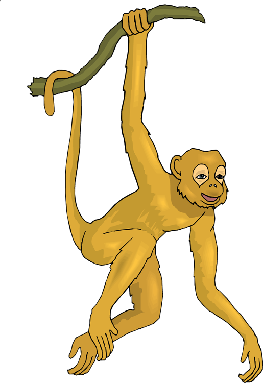 Golden monkey hanging from a branch with a cheerful expression, illustrated in cartoon style.