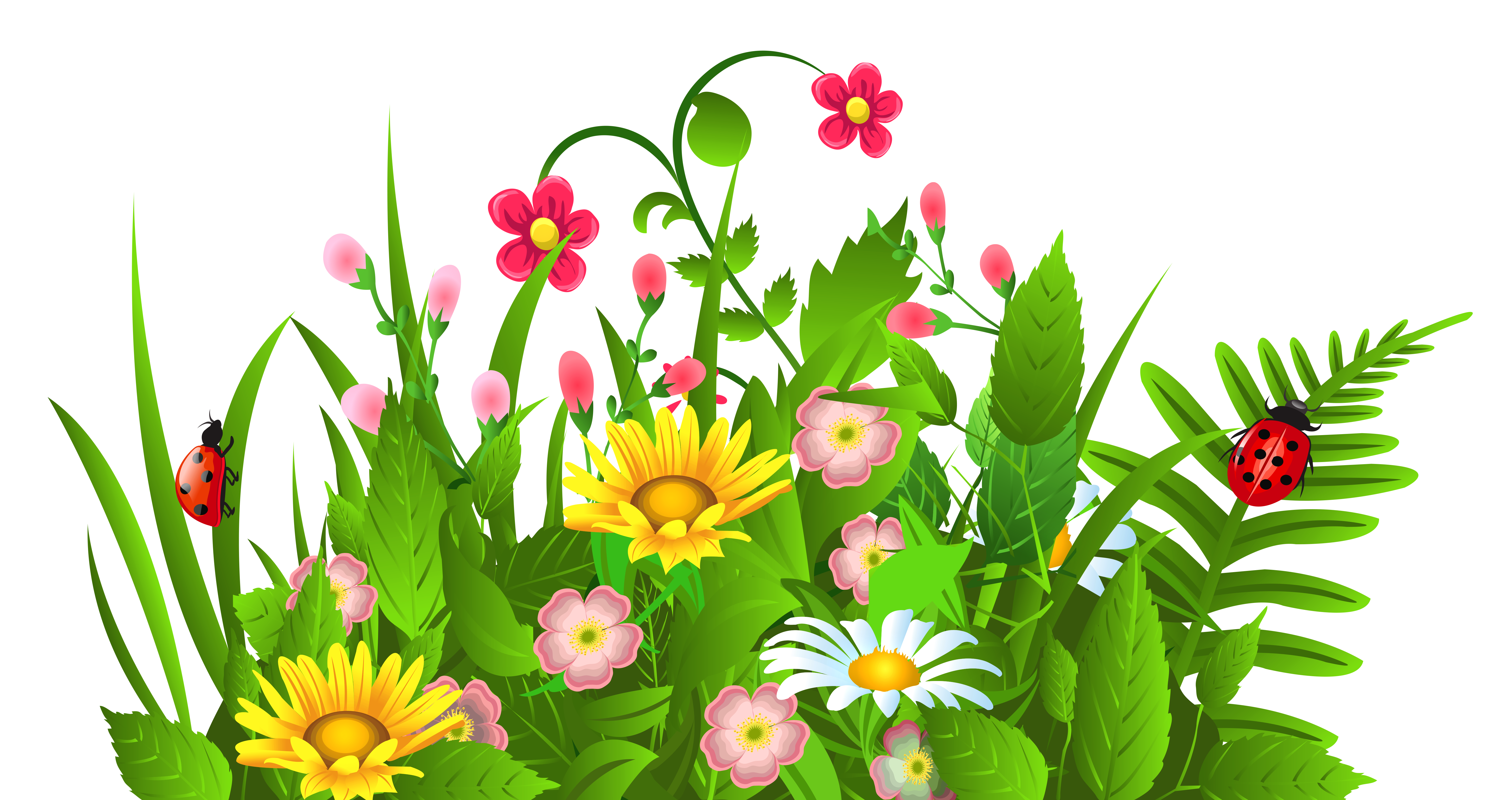 Vibrant spring meadow with yellow daisies, pink blossoms, green foliage, and two red ladybugs climbing leaves.