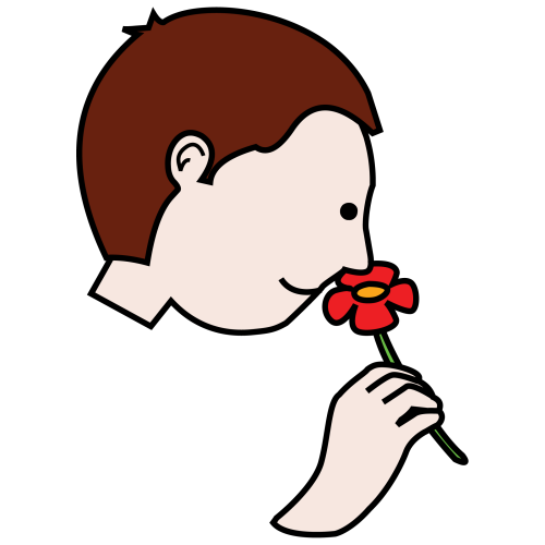 Boy with brown hair gently smelling a red flower held in his hand.