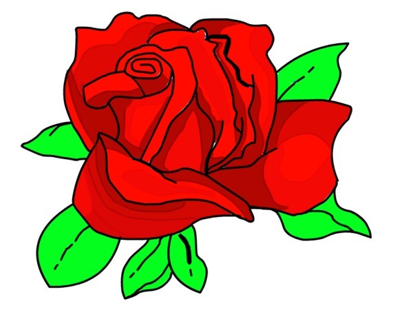 Vibrant red rose with green leaves, stylized illustration in bold outlines and flat colors.