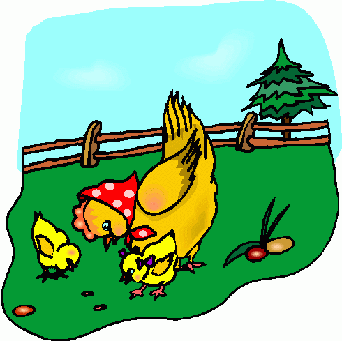 A mother hen wearing a red polka-dot scarf pecks at the ground with two yellow chicks in a fenced green yard near a pine tree.