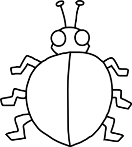 Stylized Ladybug Illustration - Clean Vector Insect Graphic