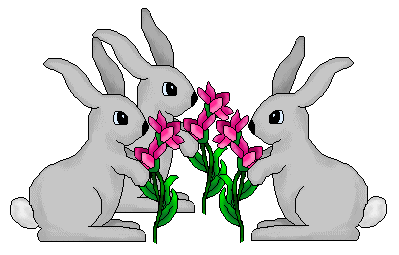 friendly bunnys