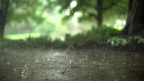 Nature Videos, Download The BEST Free 4k Stock Video Footage 