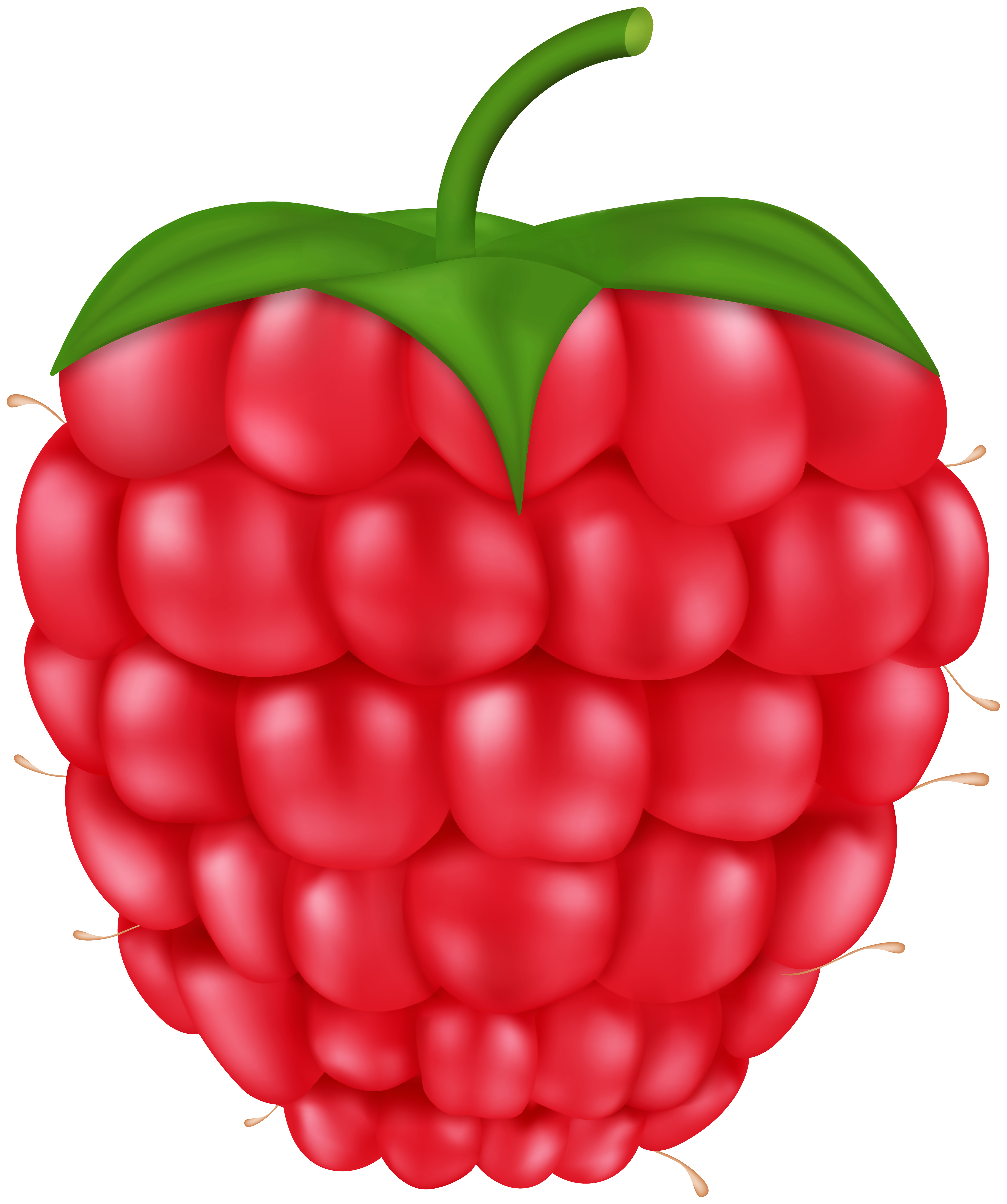 raspberrys