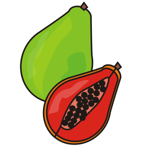 A whole green papaya and a halved red-fleshed papaya with black seeds, illustrated in vibrant cartoon style.