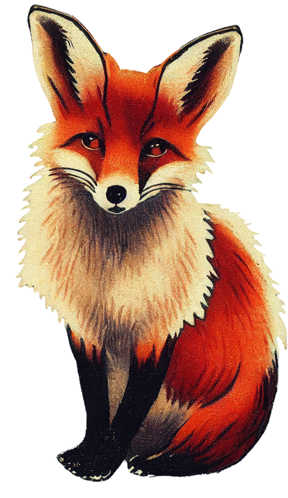 Illustrated red fox sitting upright with alert ears, white chest fur, and expressive amber eyes.