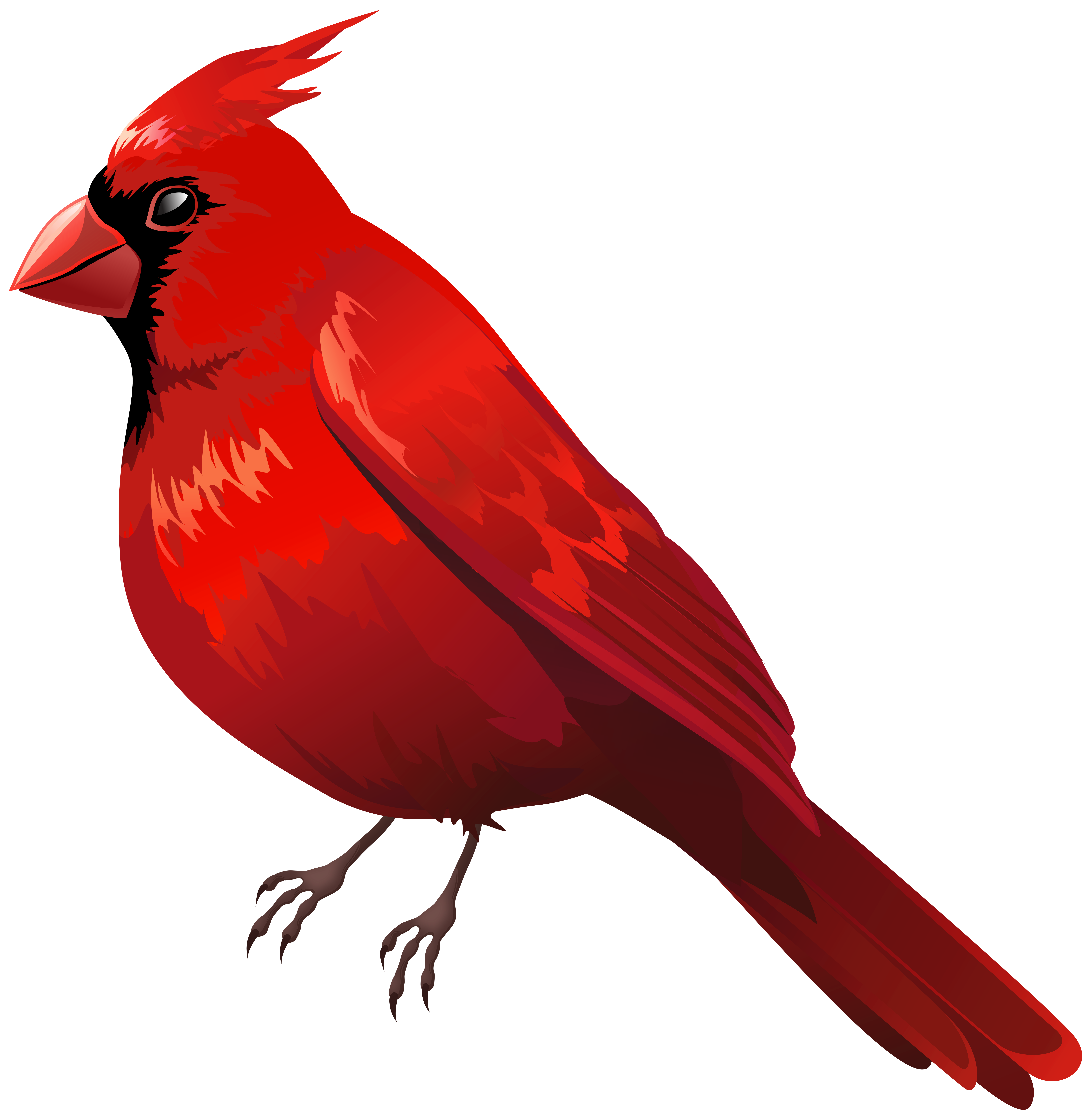 Vibrant red cardinal bird perched on a branch, stylized illustration with bold shading and feather detail.