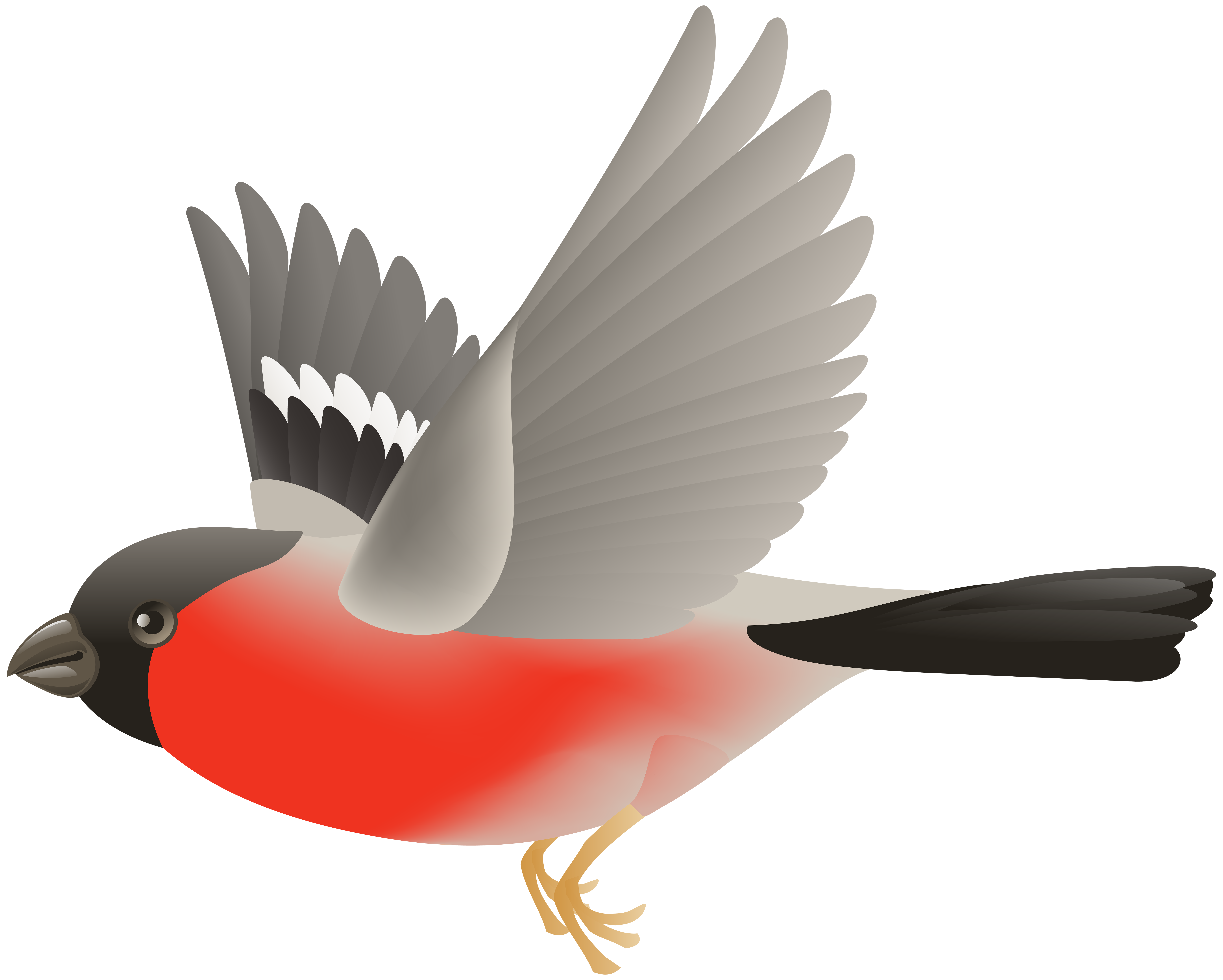 A stylized red bird with a large open beak, sharp teeth, and expressive eyes, rendered in modern vector illustration style.