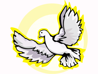 White dove in flight with outstretched wings against a radiant yellow halo, symbolizing peace and hope.