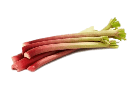 Fresh rhubarb stalks with vibrant red-to-green gradient, crisp texture, and leafy tips against a green background.