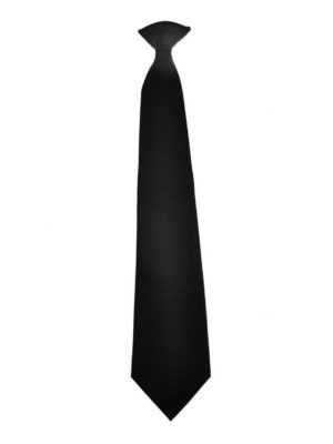 A classic black necktie with a standard knot, displayed vertically against a clean white background.