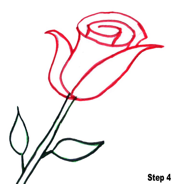 Step 4 of a rose drawing tutorial showing red petal outlines and green stem with leaves.