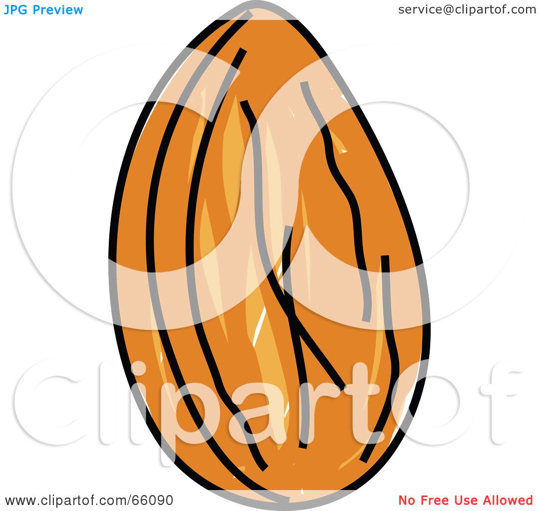 Almond Clipart and Stock Illustrations. 16,467 Almond vector EPS - Clip ...
