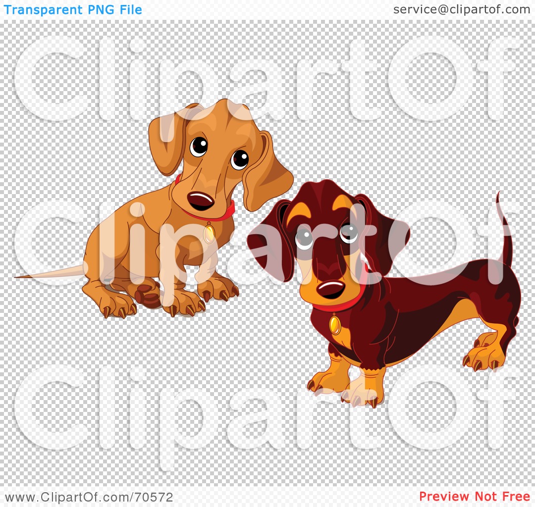 Two cartoon dachshund dogs-one tan, one black-and-tan-wearing red collars with gold tags, sitting side by side on transparent background.