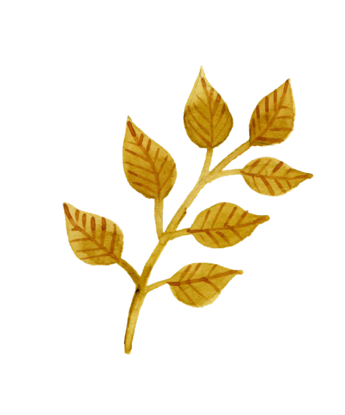 Golden watercolor illustration of a leafy branch with seven autumn-colored leaves on a transparent background.