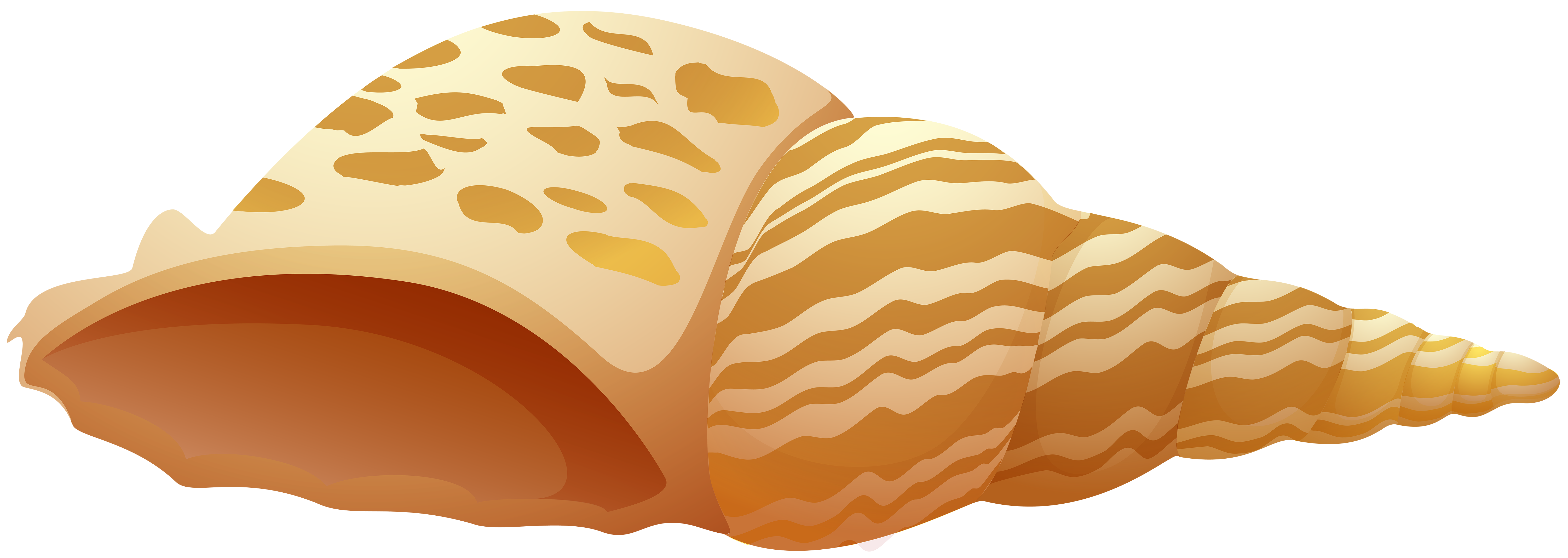 sea-shell-clipart-clam-beach-free-svg-file-svg-heart-clip-art-library
