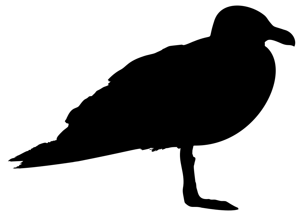 Blank black image placeholder with no visible content.