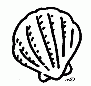 Scallop Shell Illustration - Free Clipart for Coastal & Nautical Design
