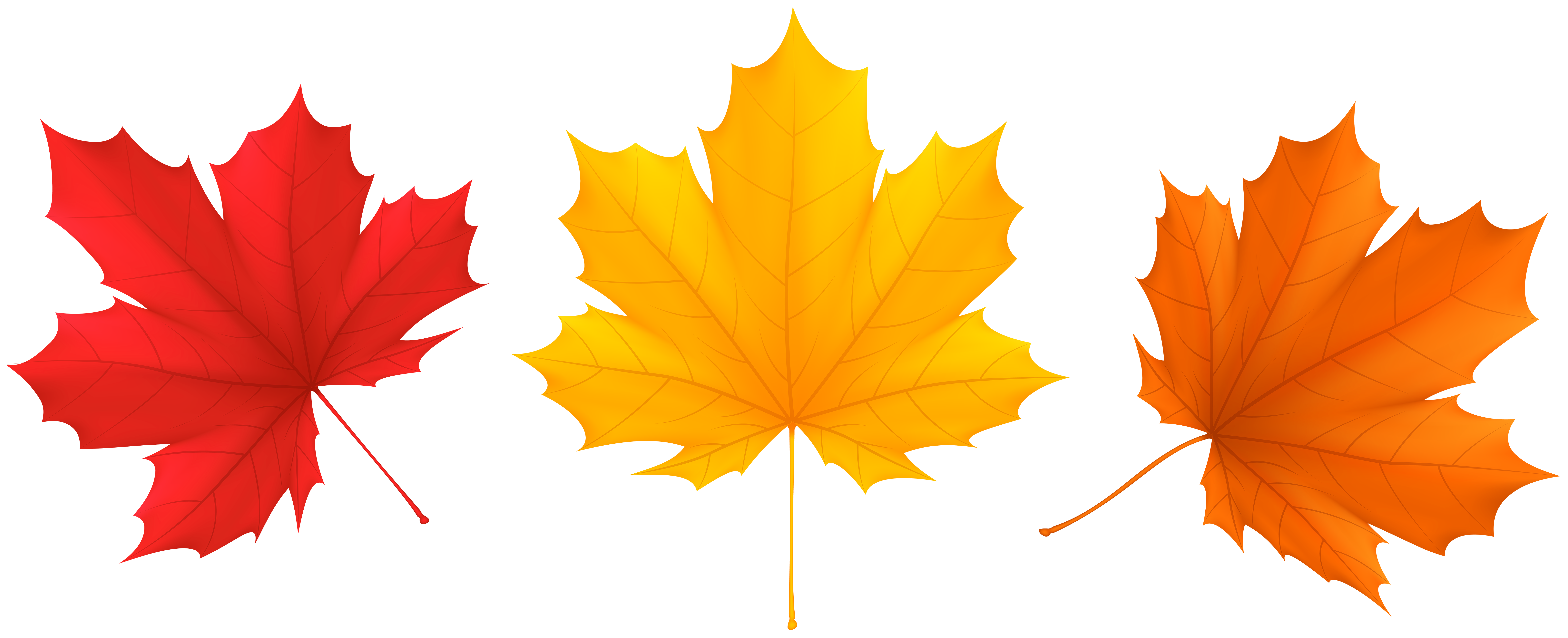 Three stylized maple leaves in red, yellow, and orange against a striped autumnal background.