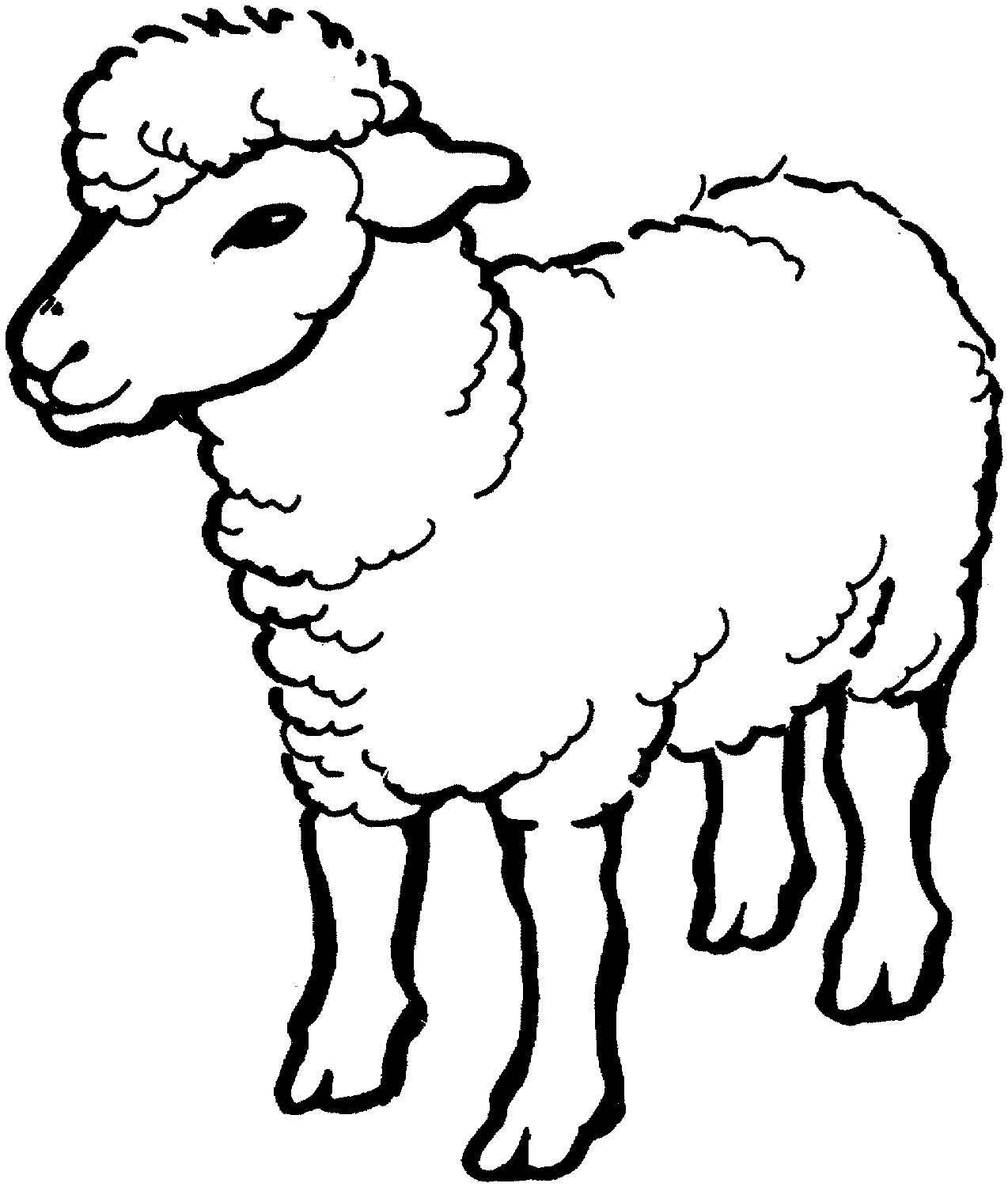Black-and-white line drawing of a fluffy lamb standing in profile, facing left, with curly wool and gentle expression.