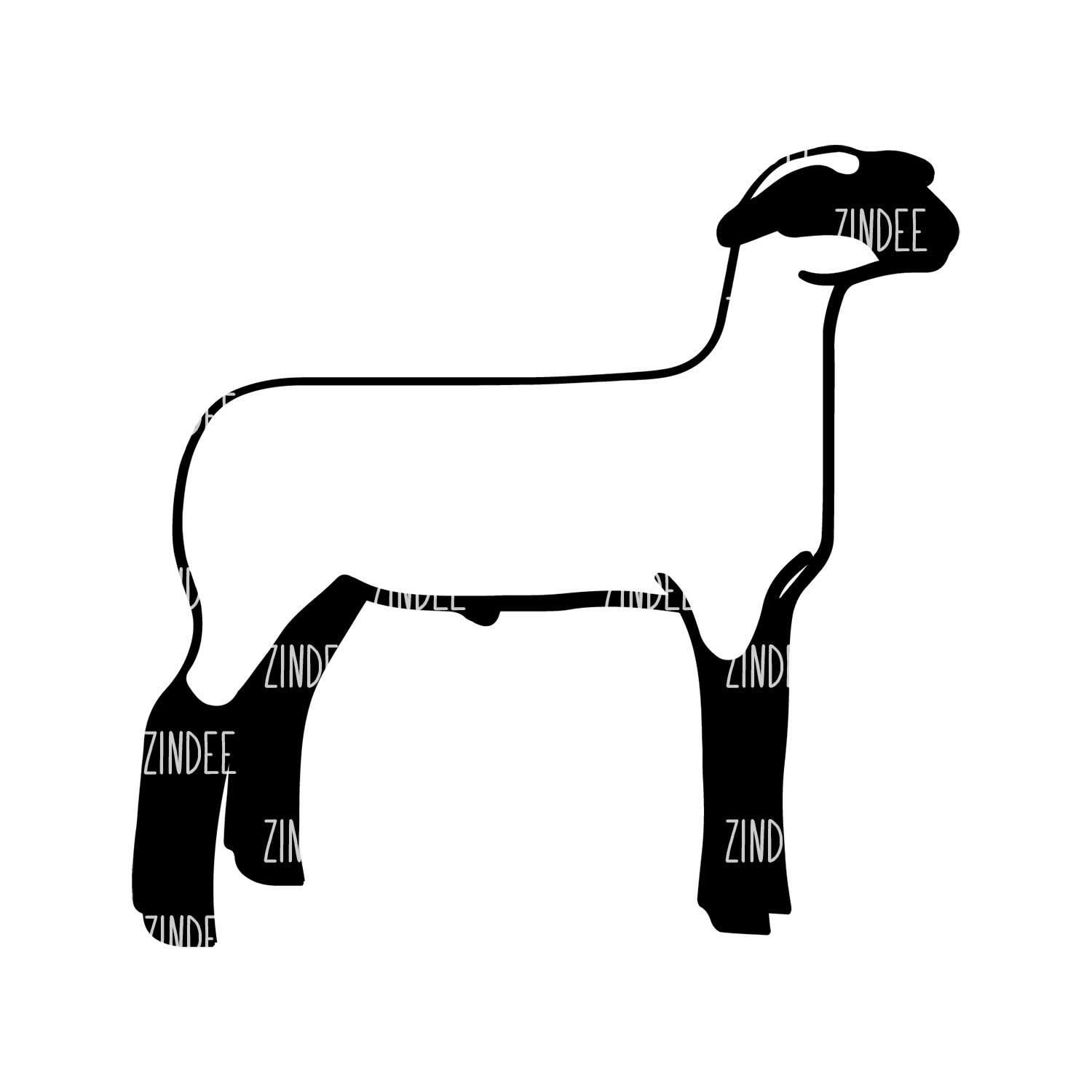 Market Lambs Clip Art Library