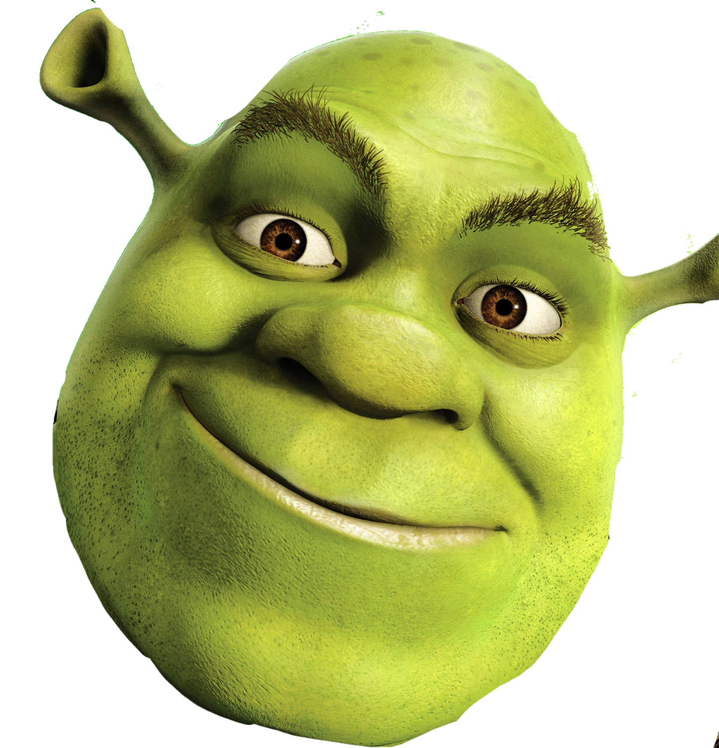 Shrek illustration, Donkey Princess Fiona Shrek The Musical, Shrek  transparent background PNG clipart