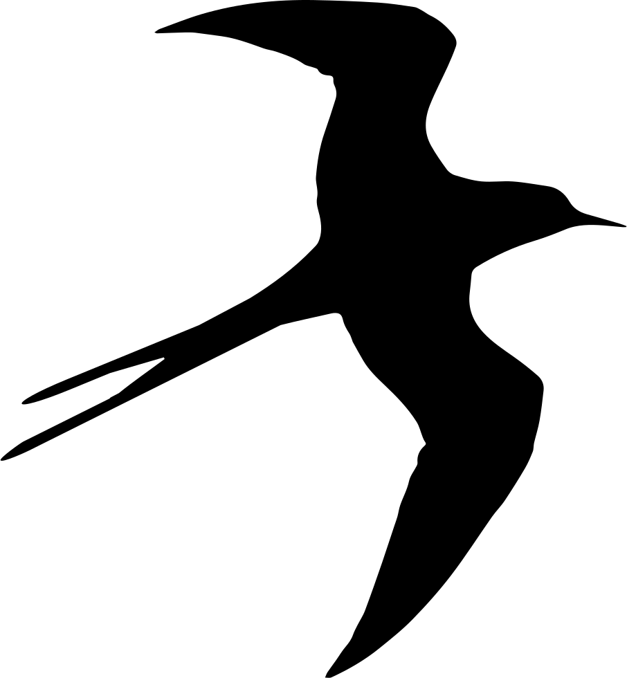 Silhouette of a soaring seabird with long, pointed wings and forked tail, likely a tern or frigatebird in flight.