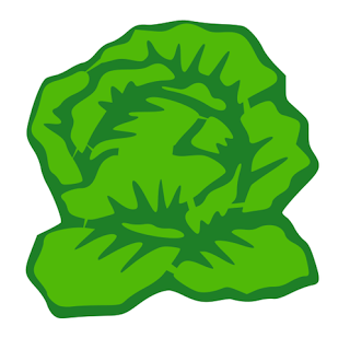 lettuces