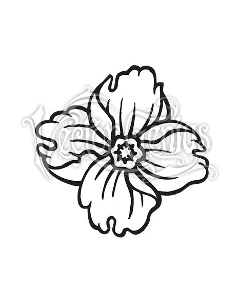Elegant Floral Line Art Illustration - Free Download & Usage