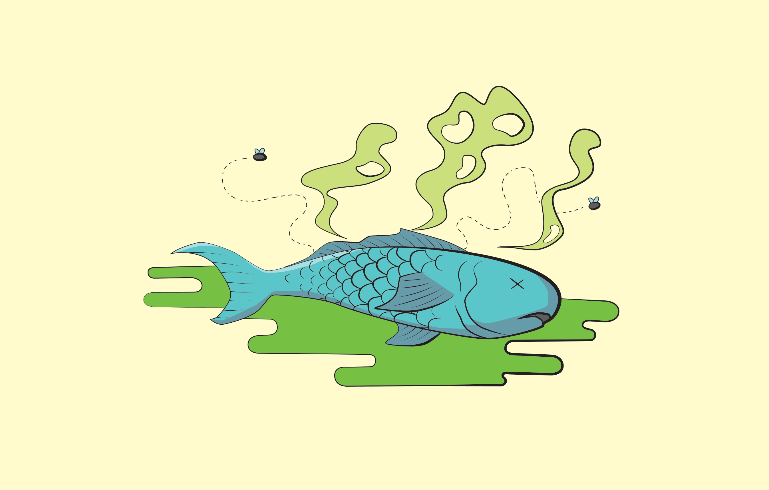 210+ Stinky Fish Illustrations, Royalty-Free Vector Graphics