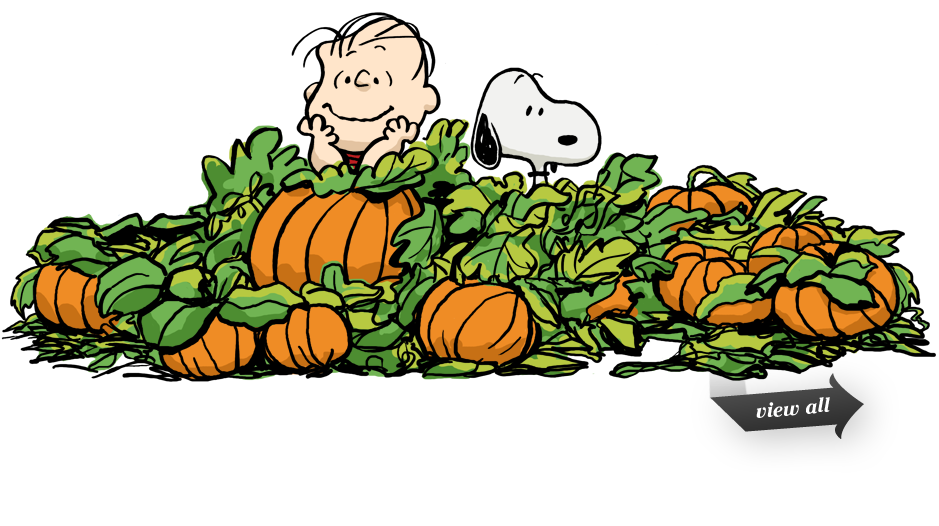 Charlie Brown and Snoopy peeking out from a pile of pumpkins and green vines.