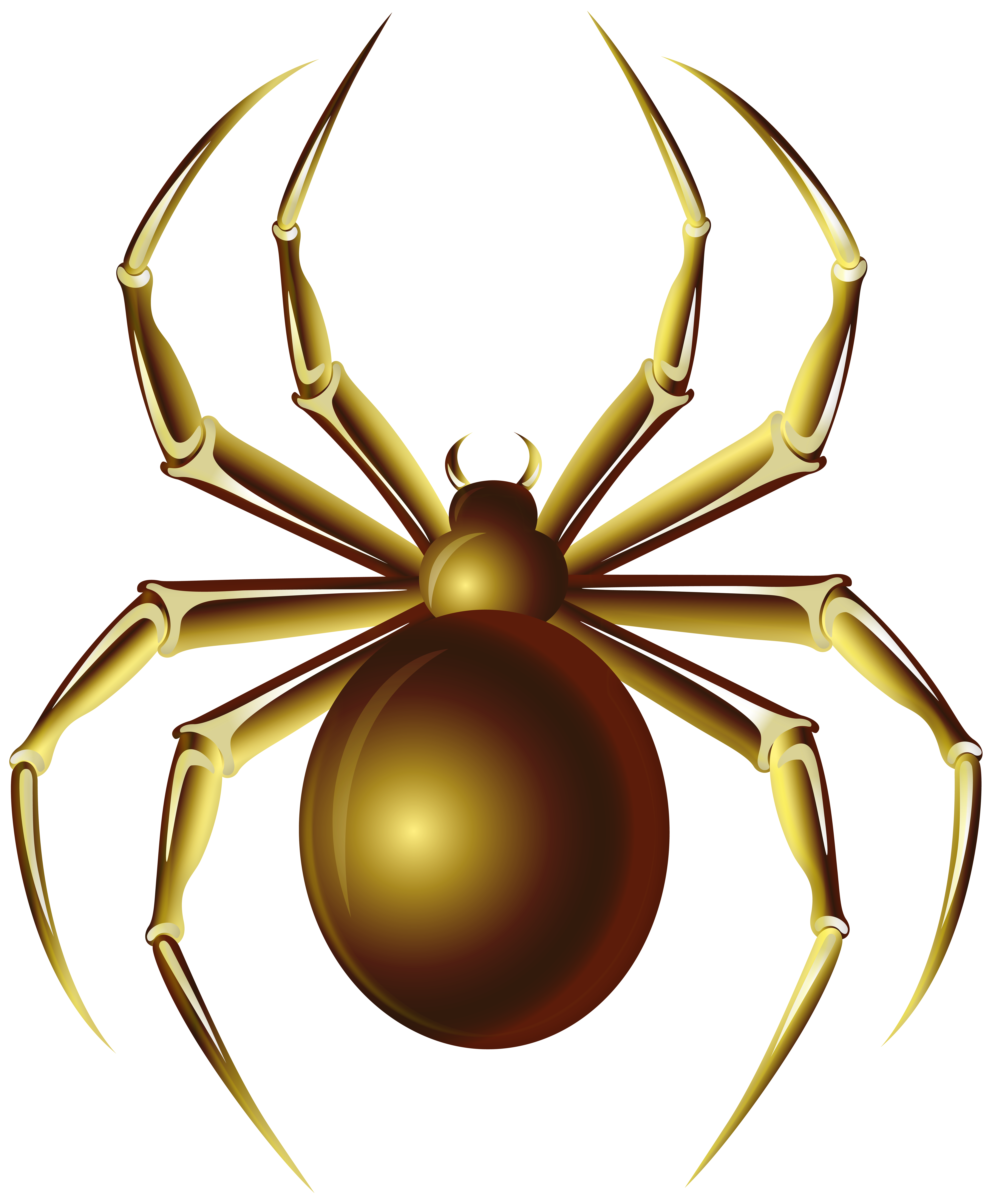 Golden ornate spider emblem with intricate metallic legs and a polished brown body, set against a rich maroon background.