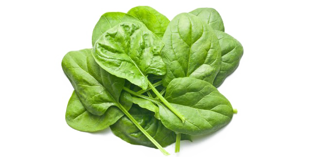 Fresh green spinach leaves piled together on a white background, vibrant and crisp.